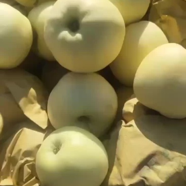 黄金帅