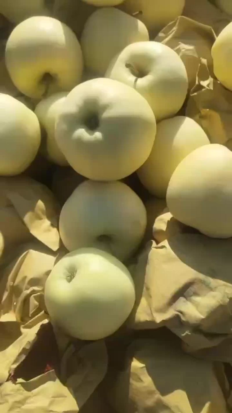 黄金帅