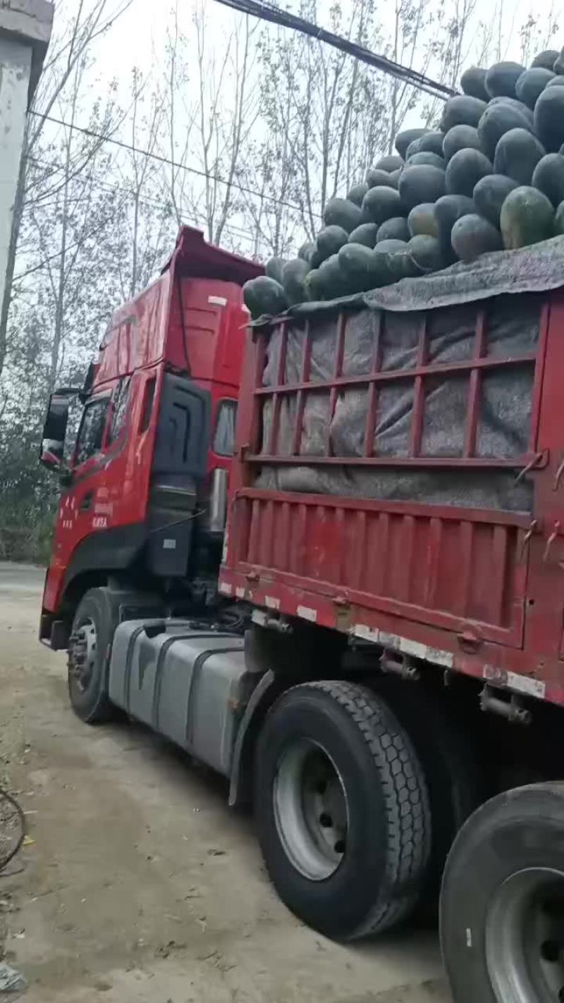 冬瓜