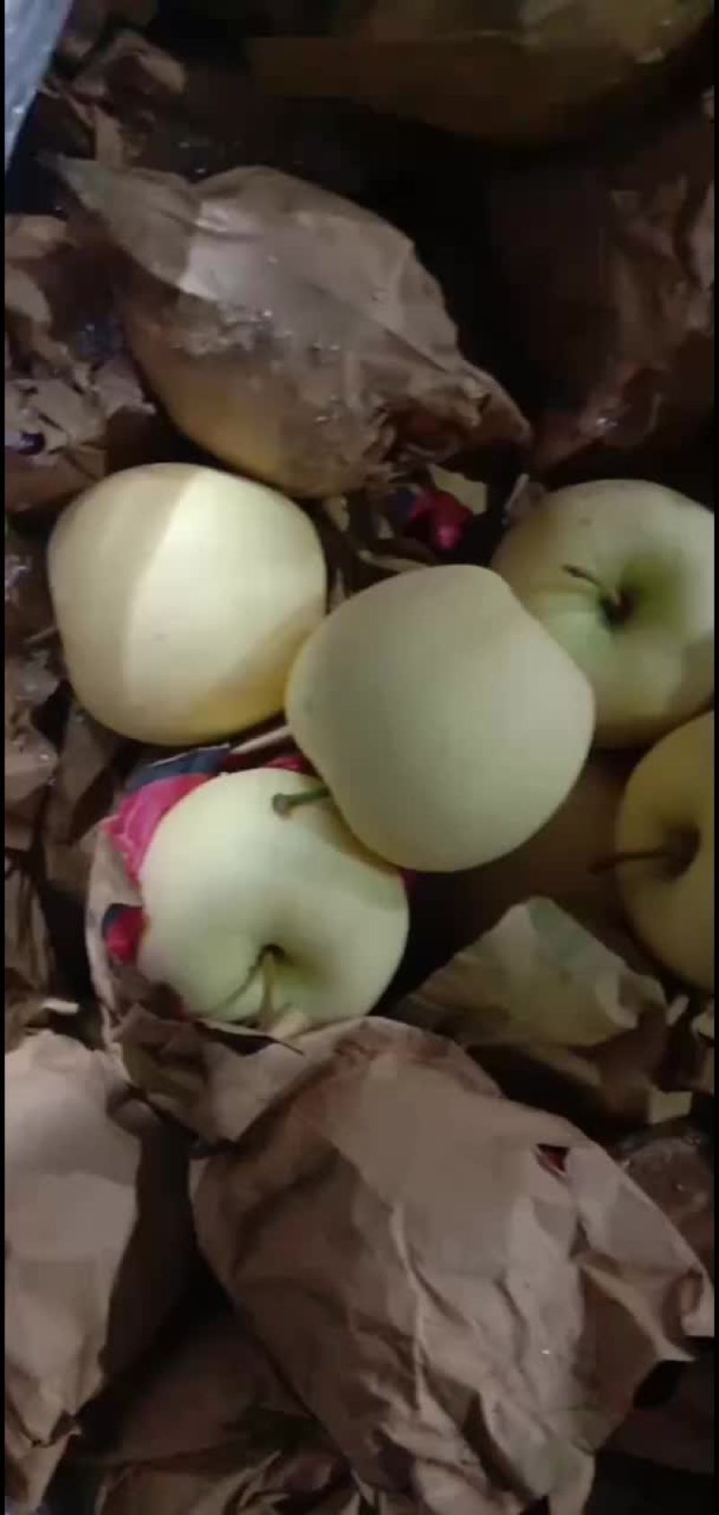 黄元帅