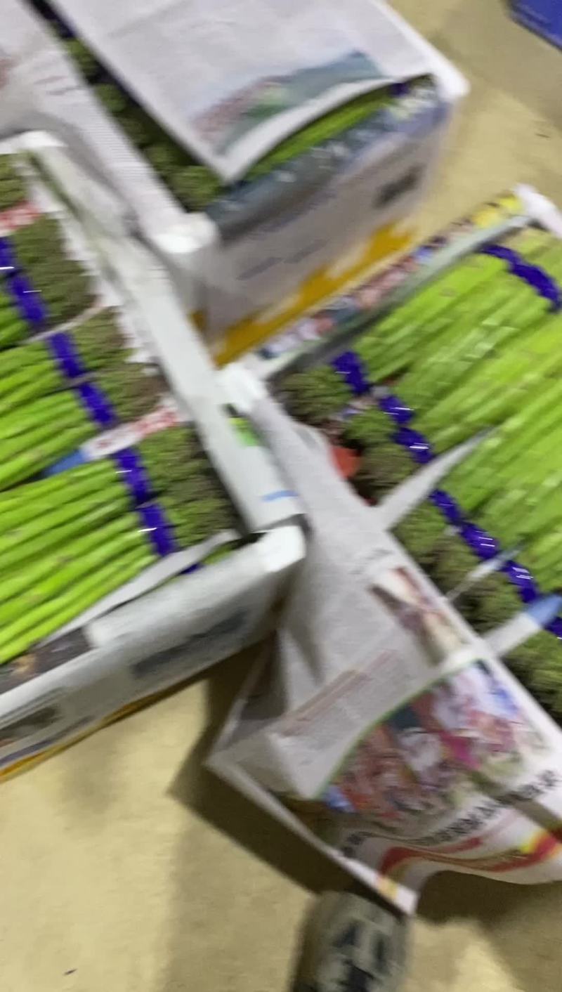 芦笋批发