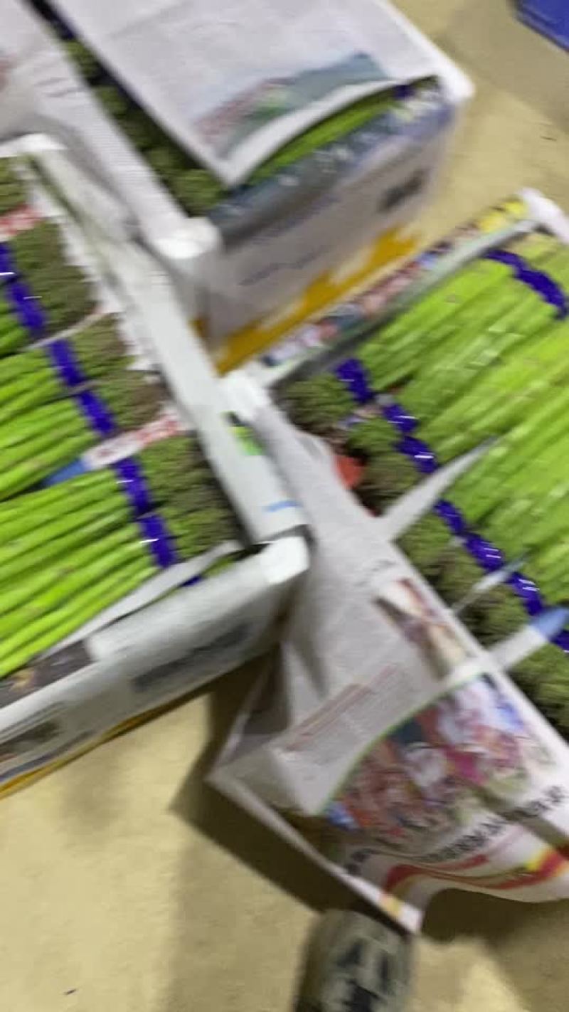 芦笋批发