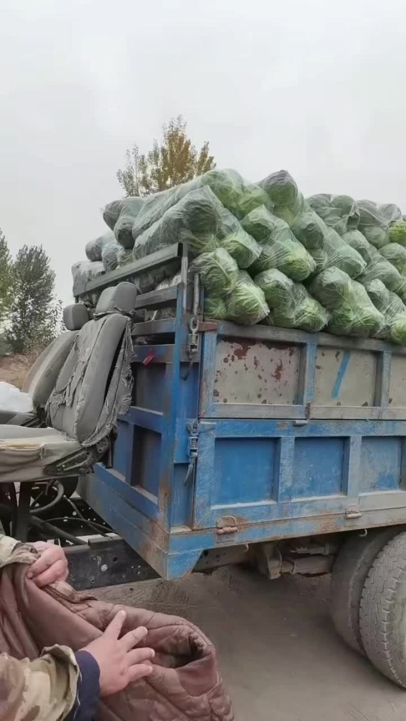 昌黎蔬菜大量上市