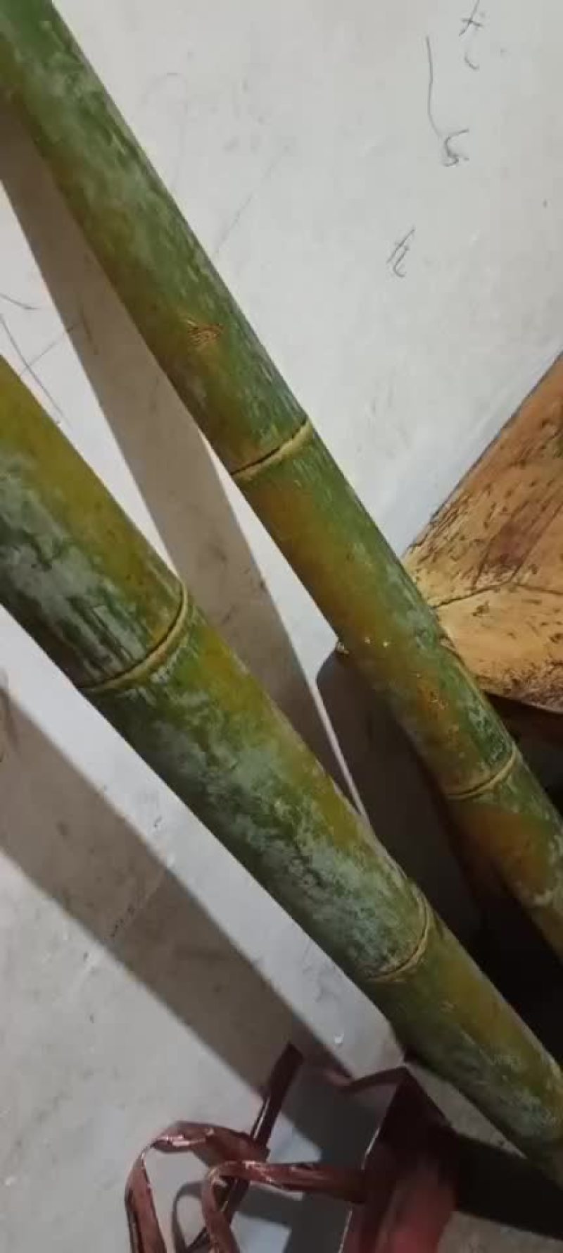竹片，羊肚菌片，西瓜大棚片，蔬菜大棚片，葡萄架片