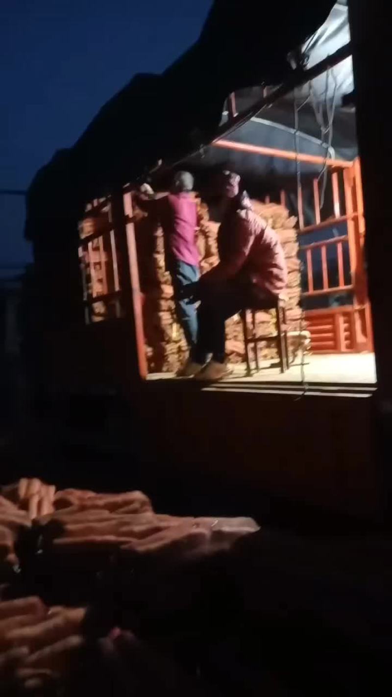 红萝卜大量上市要的老板联系