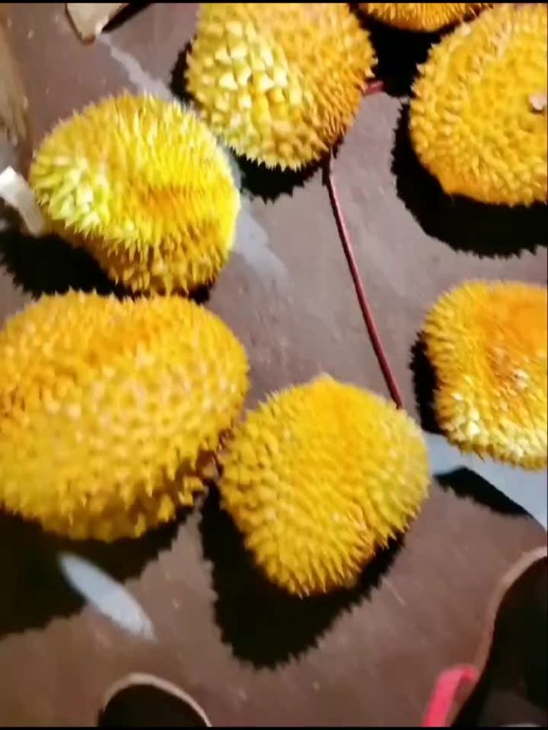 金针榴莲