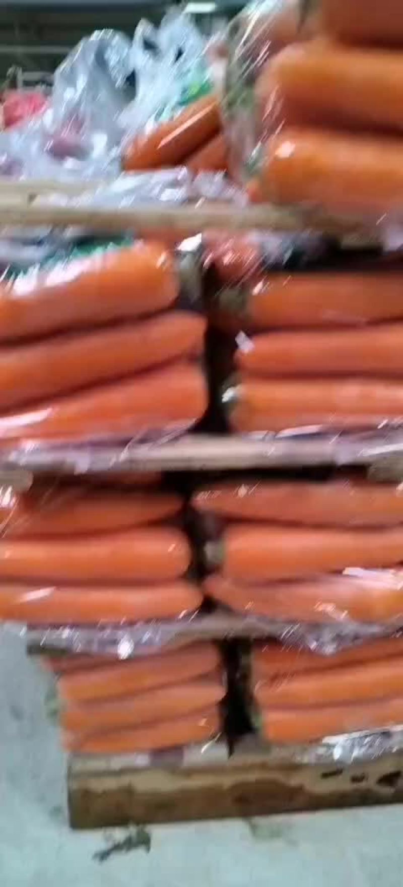 水洗三红胡萝卜焦作温县直发现货供应欢迎来电咨询