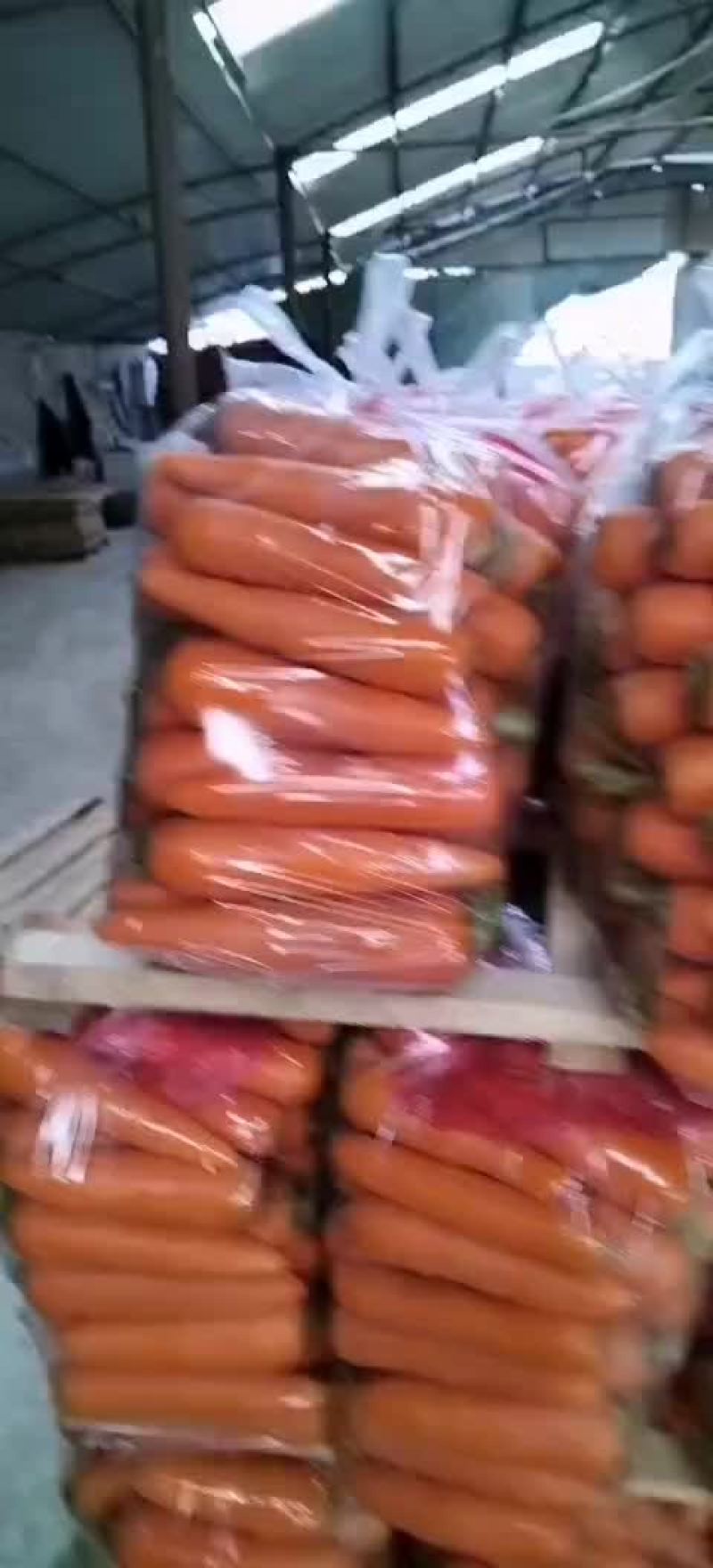水洗三红胡萝卜焦作温县直发现货供应欢迎来电咨询