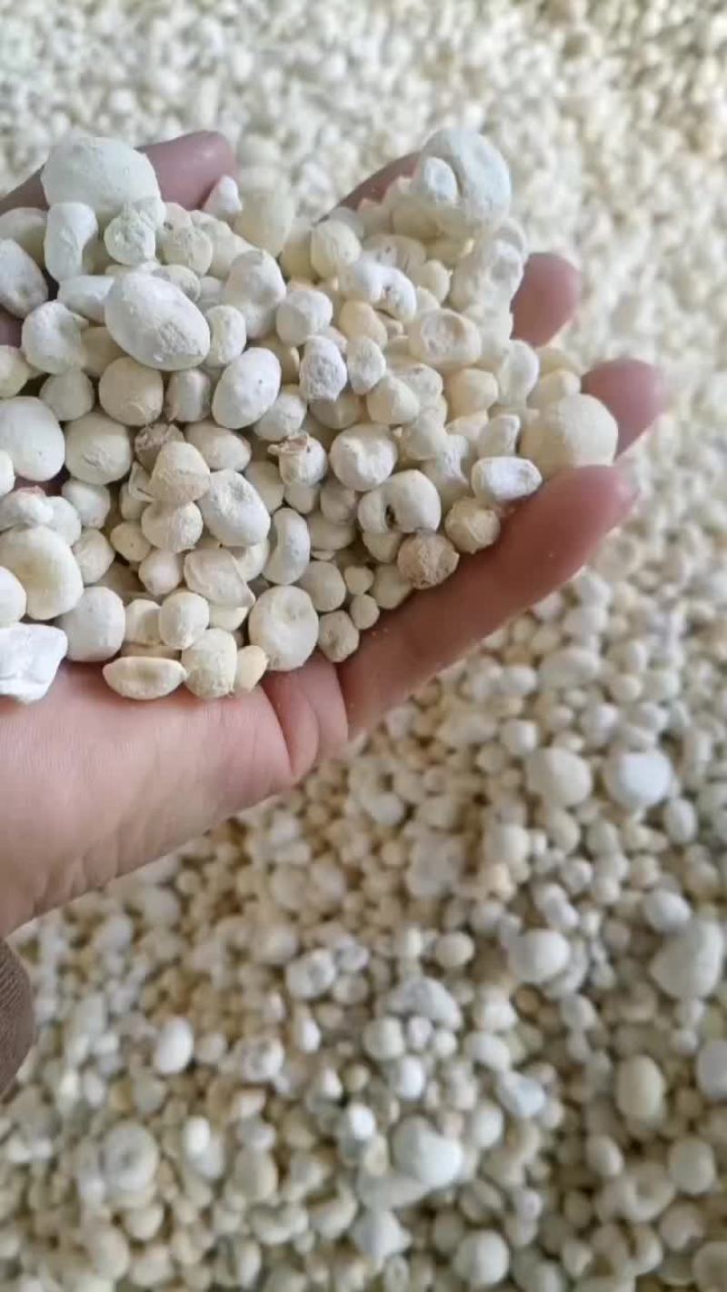 半夏小米珠半夏干货