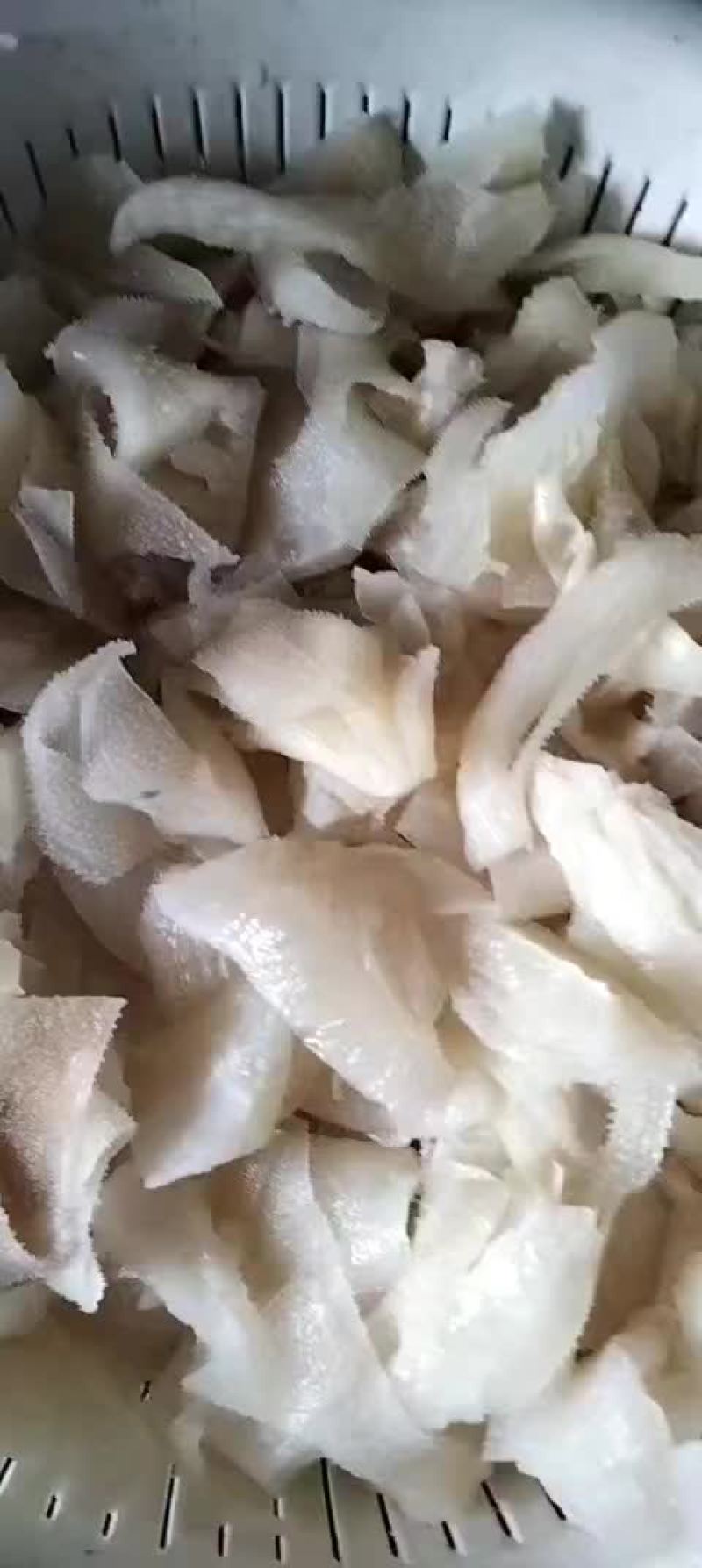 白色毛肚头子，便宜靓货，串串凉拌冒菜，粉面馆，爆肚用处广