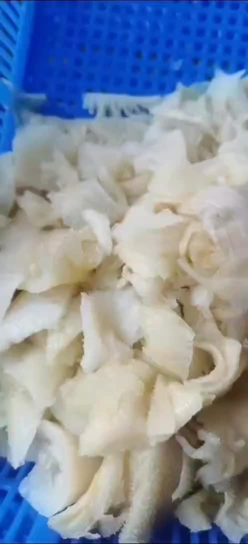 白色毛肚头子，便宜靓货，串串凉拌冒菜，粉面馆，爆肚用处广
