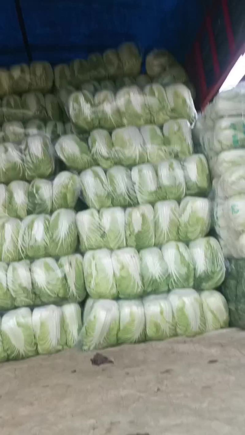 蔬菜