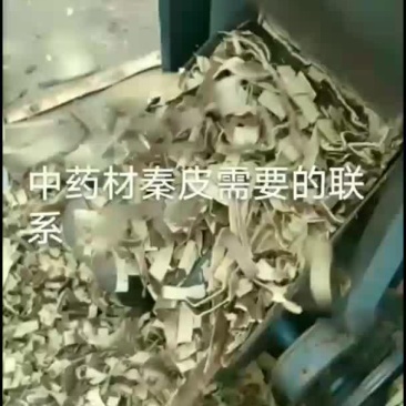 中药材秦皮，中药材，树皮，药材