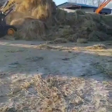 精品长稻草