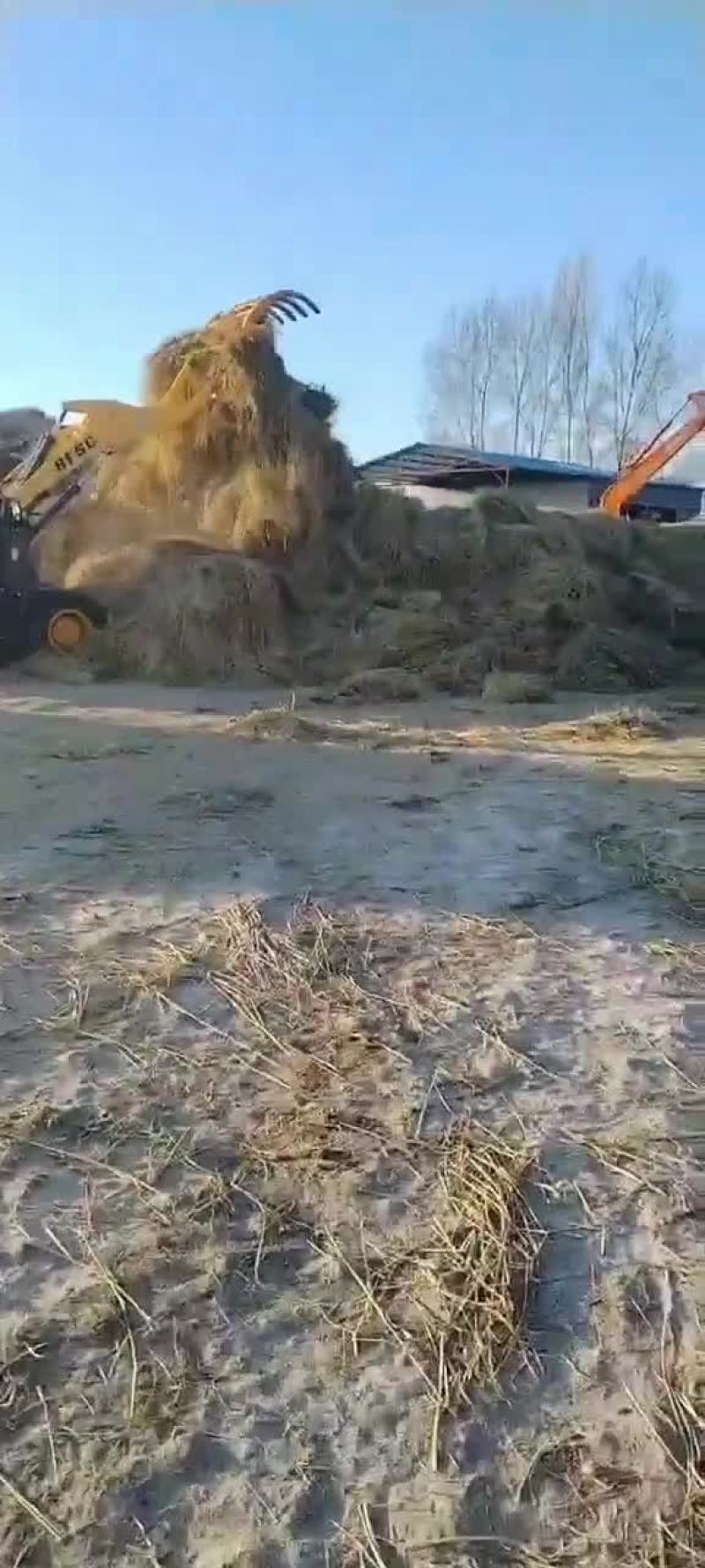 精品长稻草