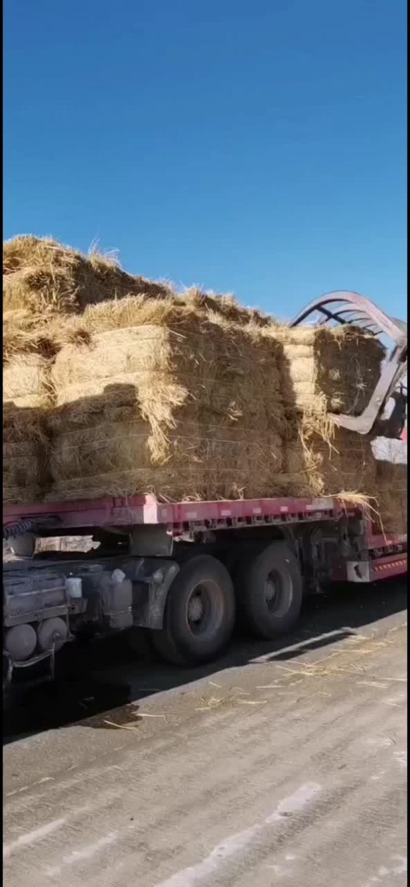 精品长稻草
