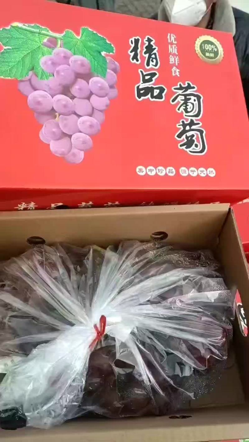 巨峰葡萄