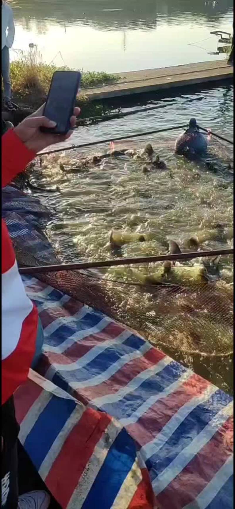 水产类