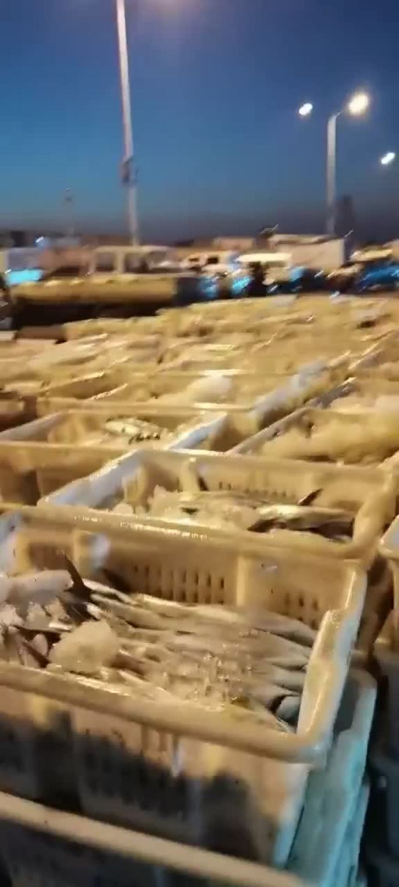 带鱼段，鱼肚段便宜，破肚子了，不好看，吃可以的，