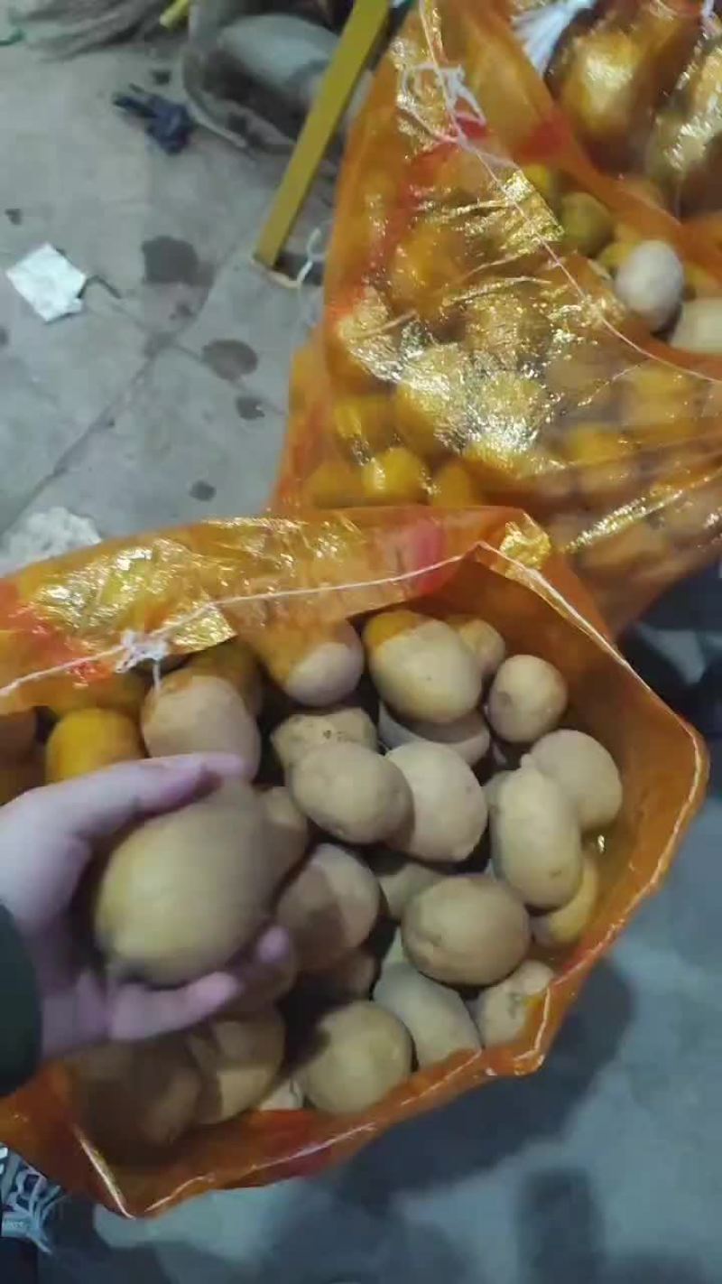 内蒙古呼伦贝尔黄心土豆