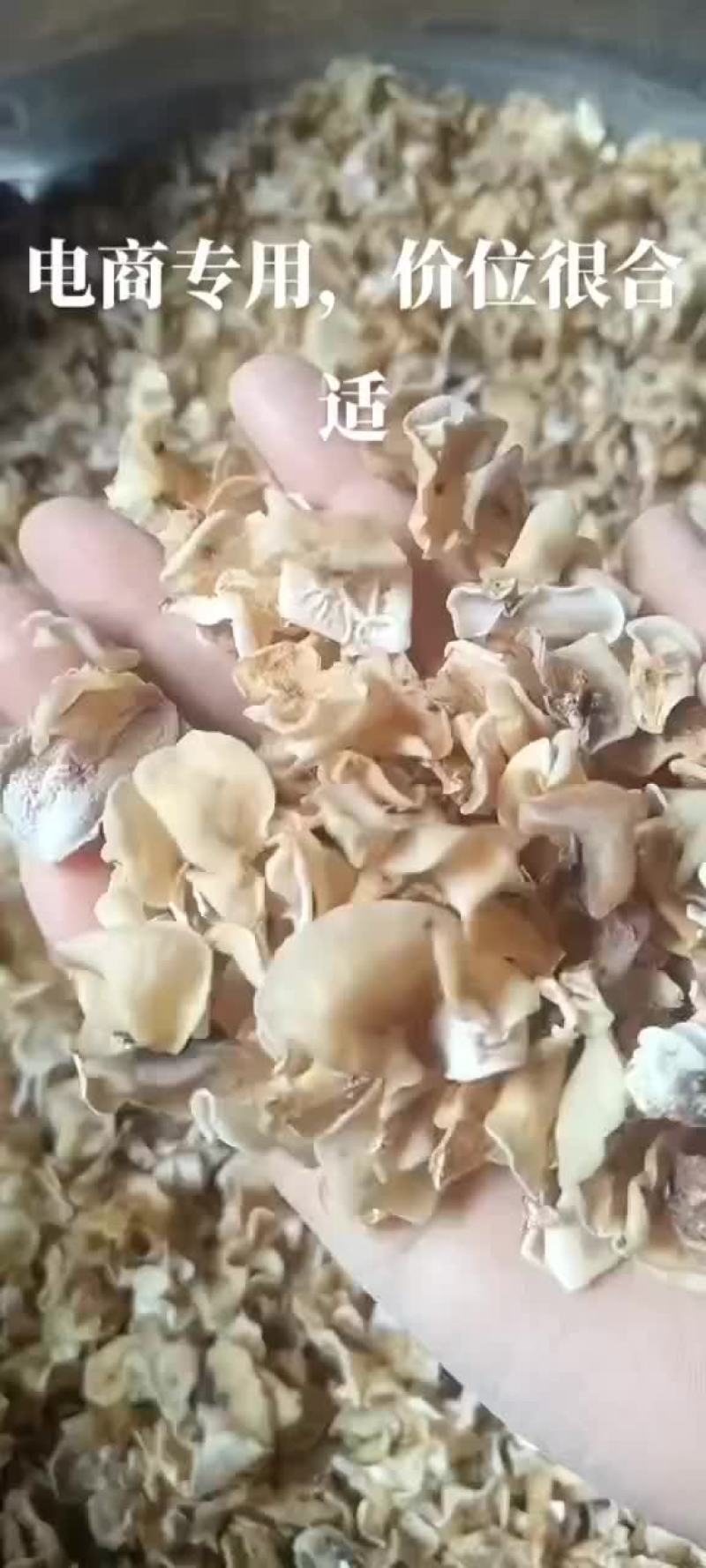 电商用白木耳白玉木耳，价格超实惠