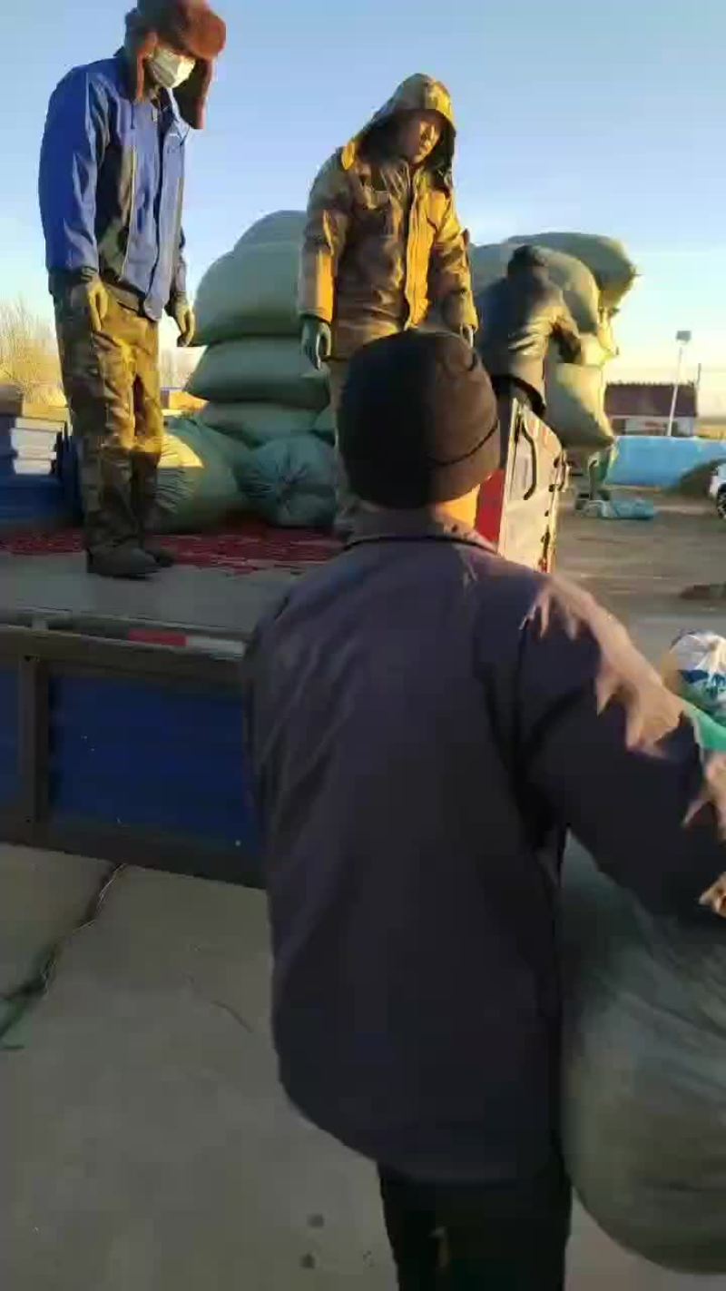 上万亩朝天椒大量有货