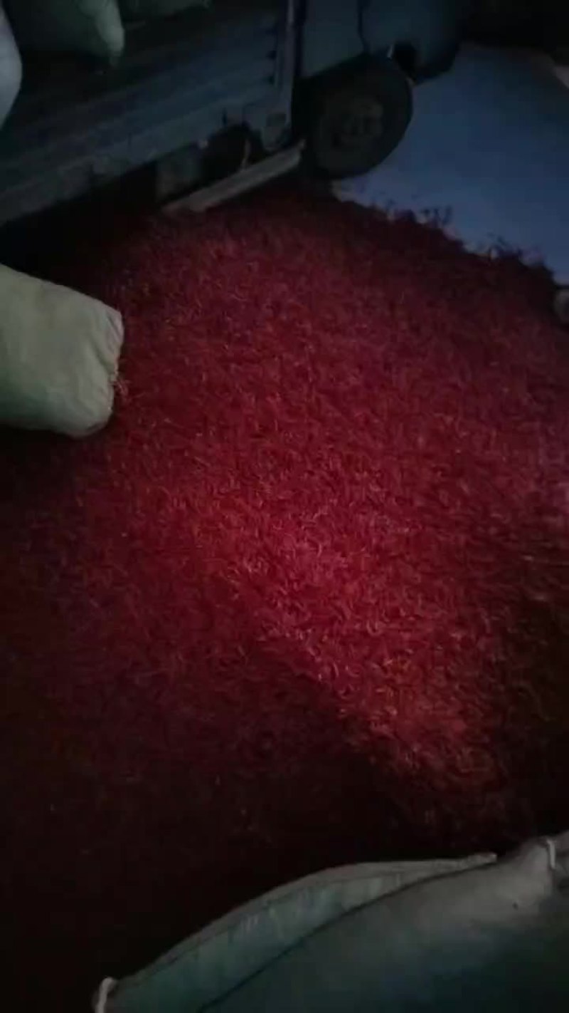 上万亩朝天椒大量有货
