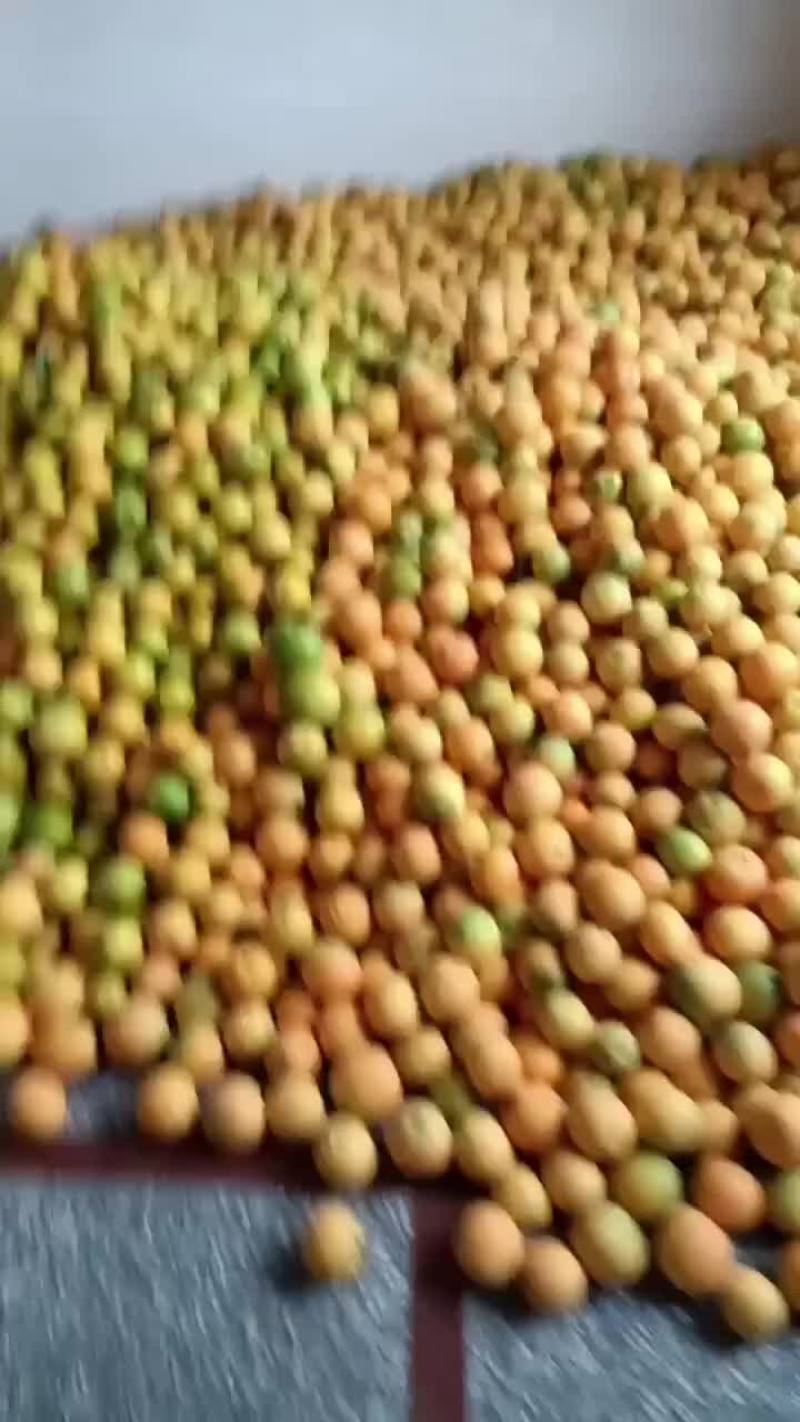 莨山脐橙