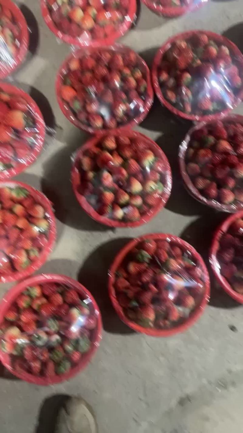 榨汁草莓有需要的联系我。大量现货。