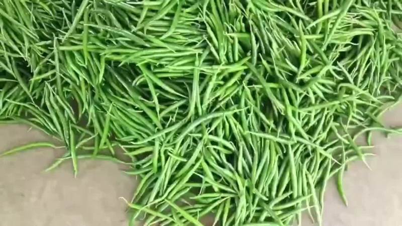 泡椒