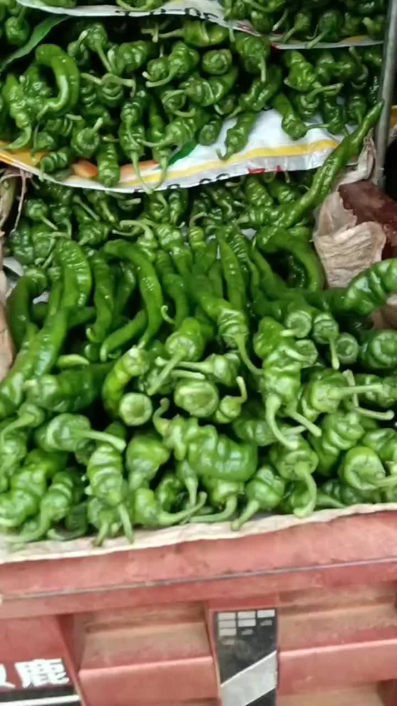 辣椒番茄茄子黄瓜