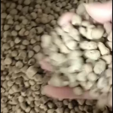 覆盆子