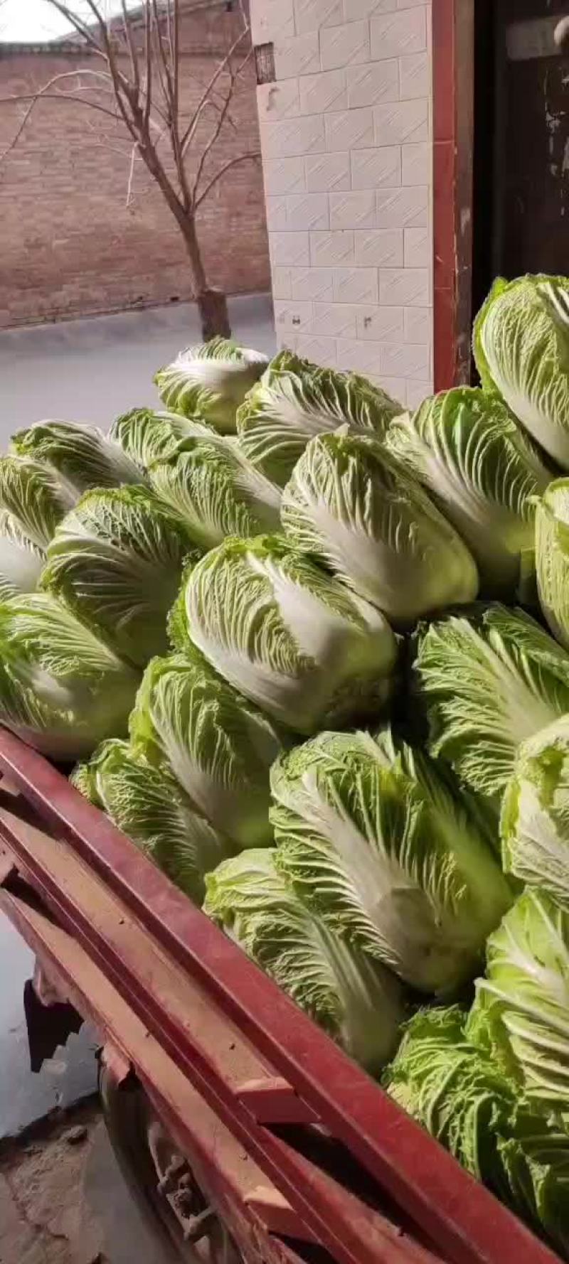大荔红萝卜