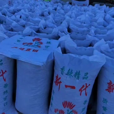 大量有货欢迎各位老板前来选购