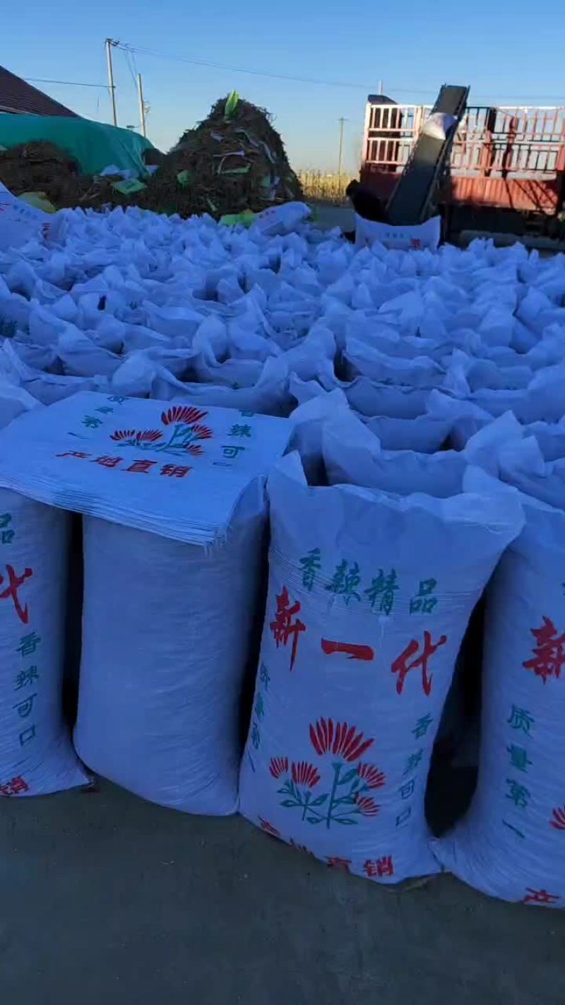 大量有货欢迎各位老板前来选购