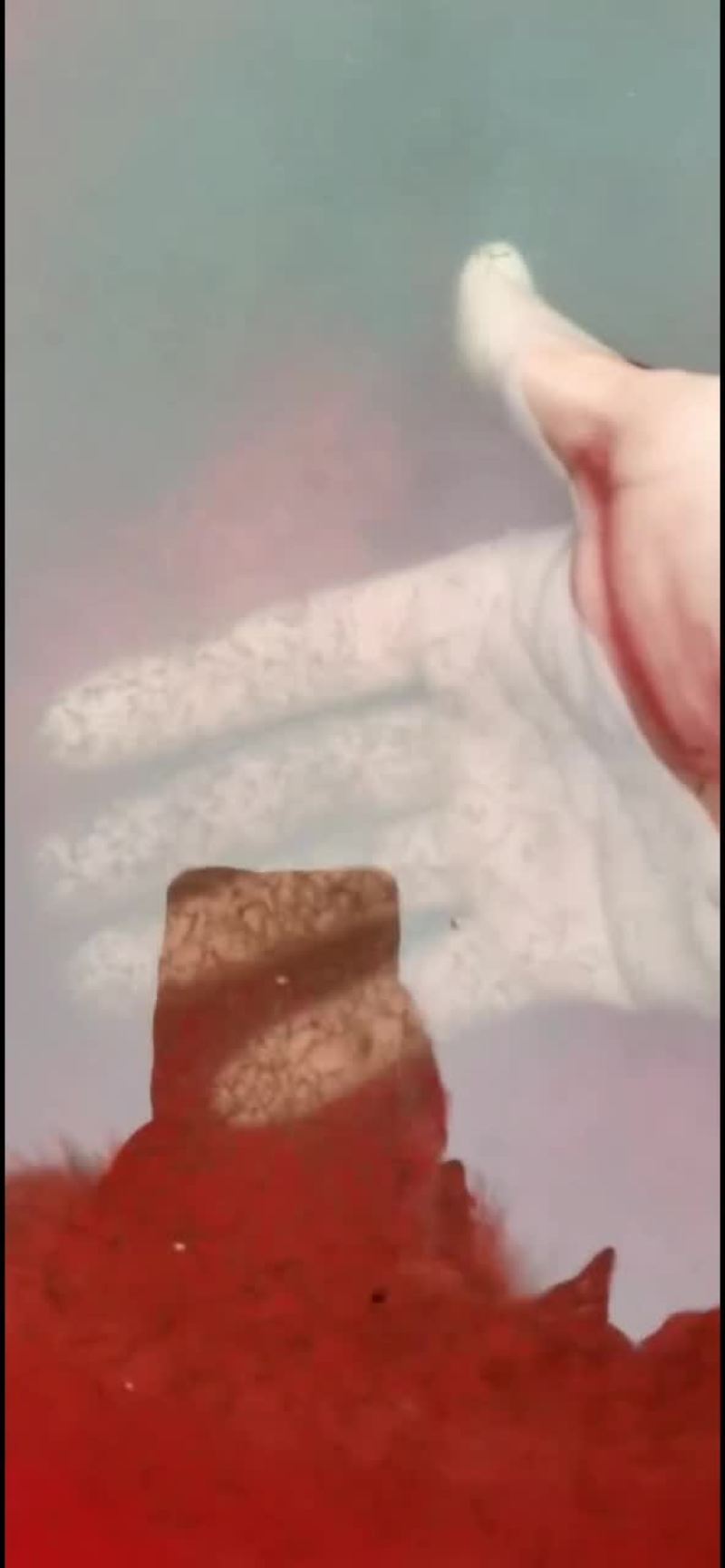 鲫鱼水花