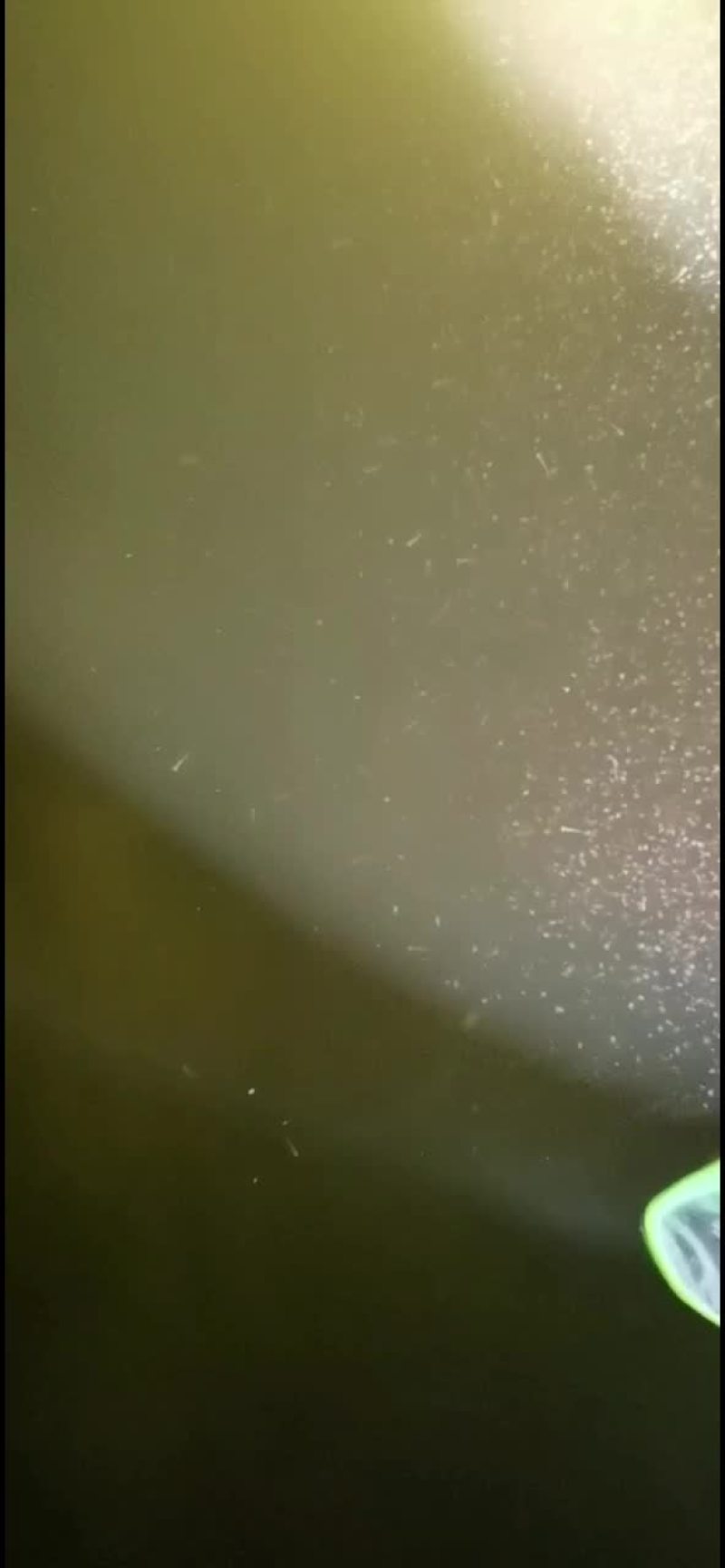鲫鱼水花