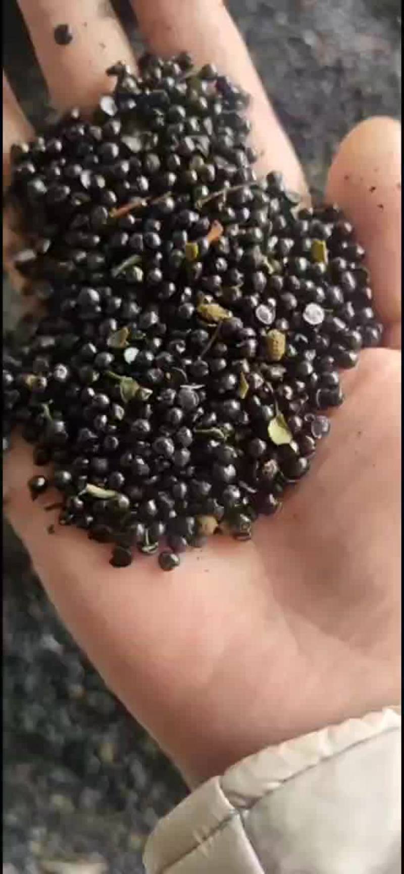 花椒籽