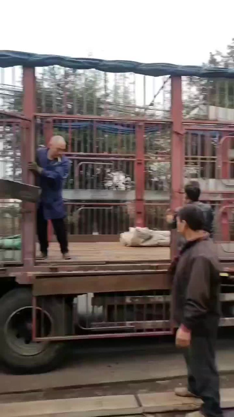 花椒籽