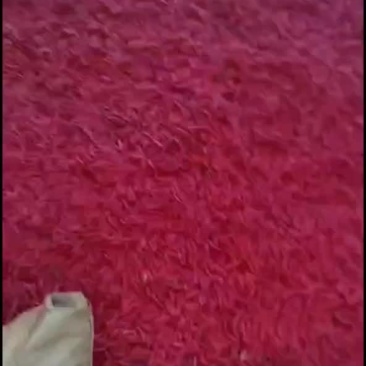 产区直发大量有货
