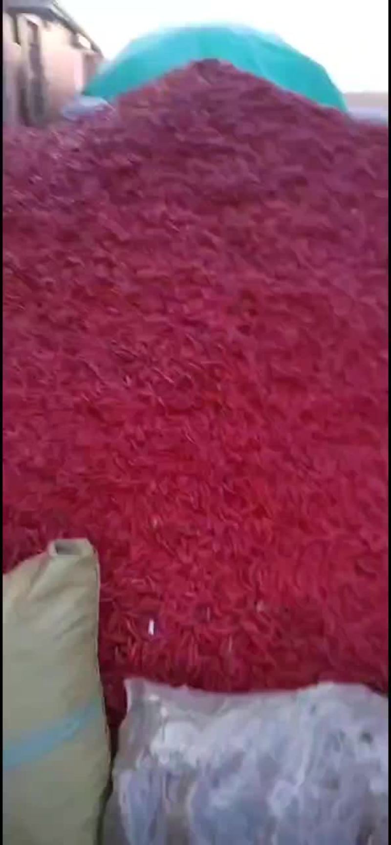 产区直发大量有货
