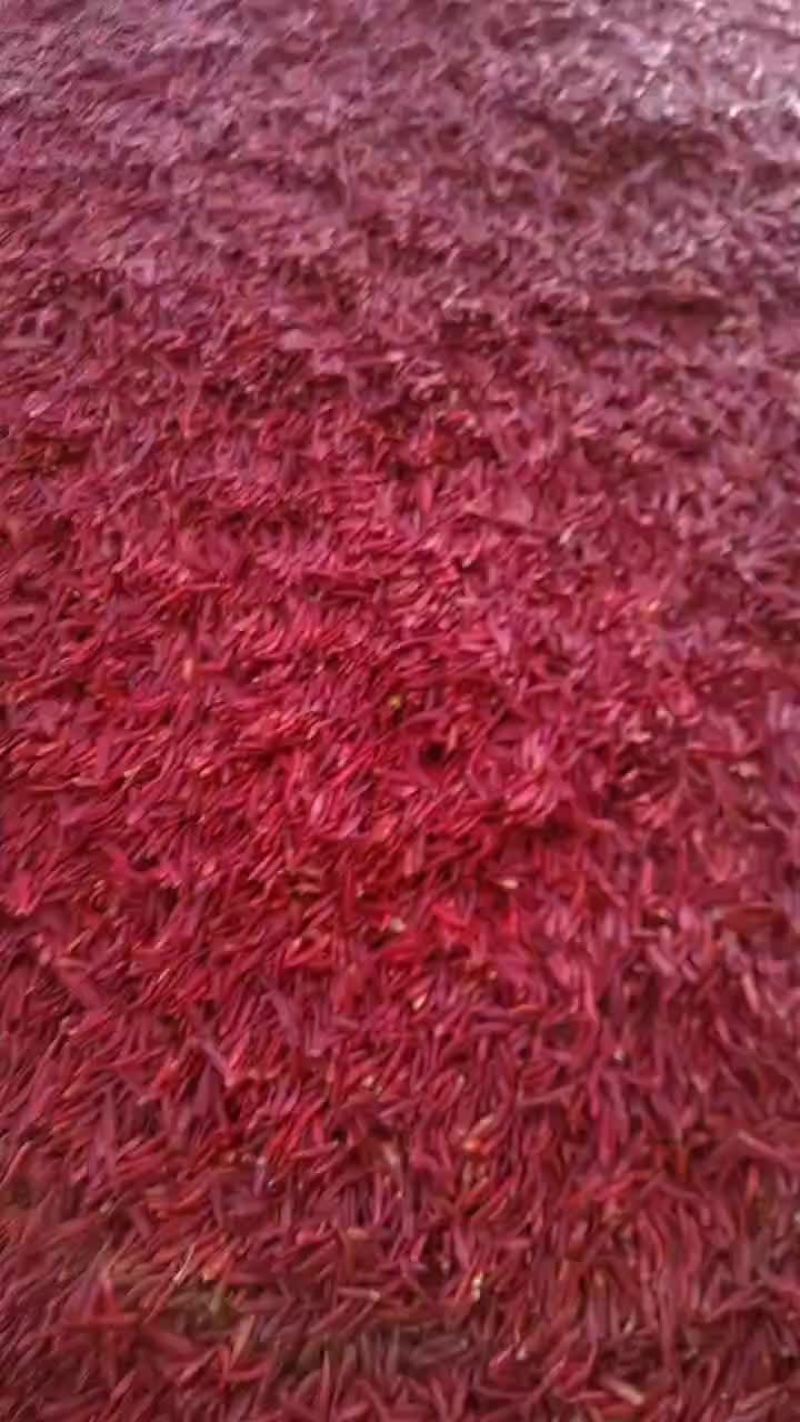产区直发大量有货