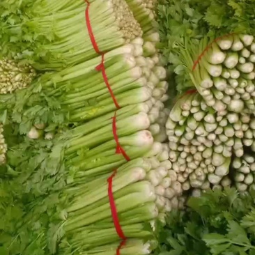 大量共应鲜货需要的联系我