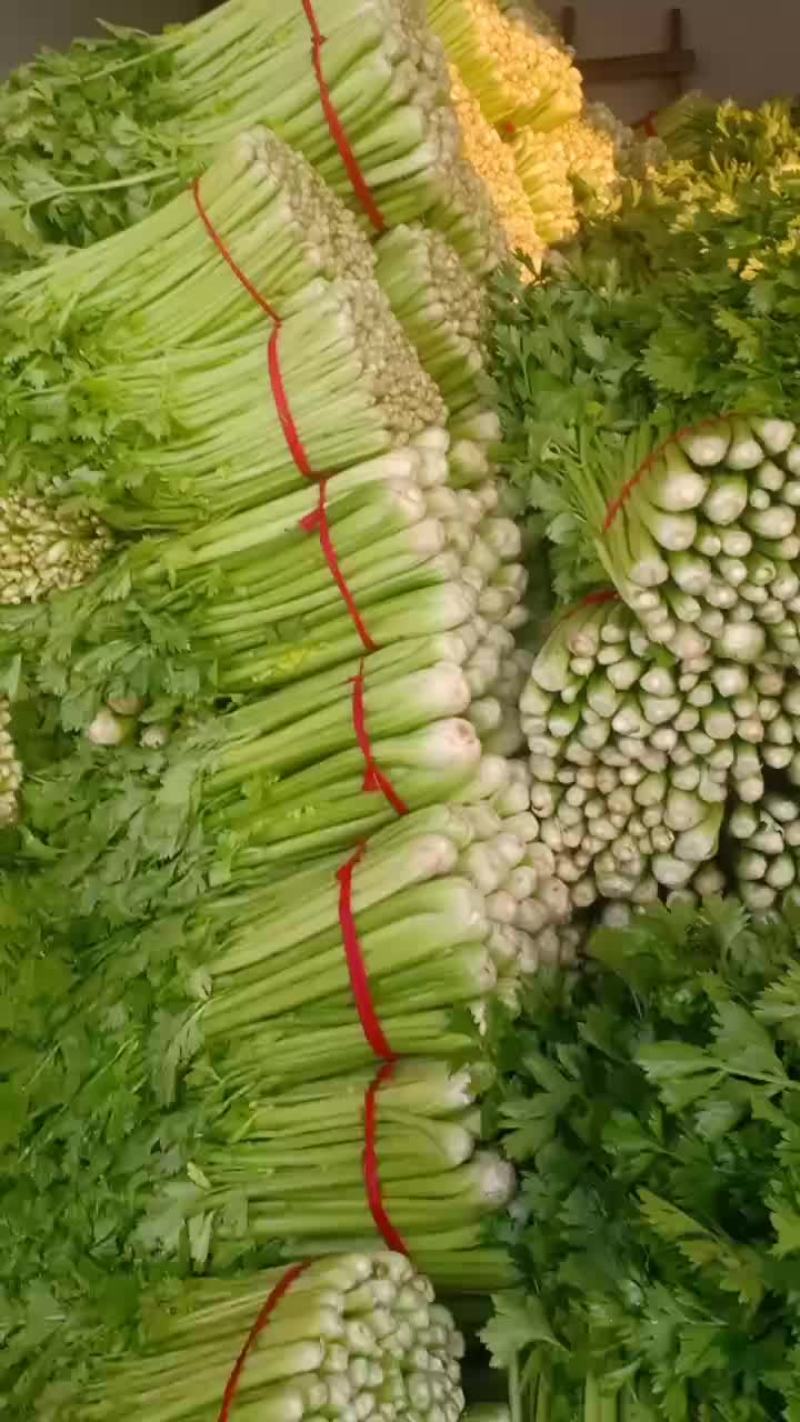 大量共应鲜货需要的联系我