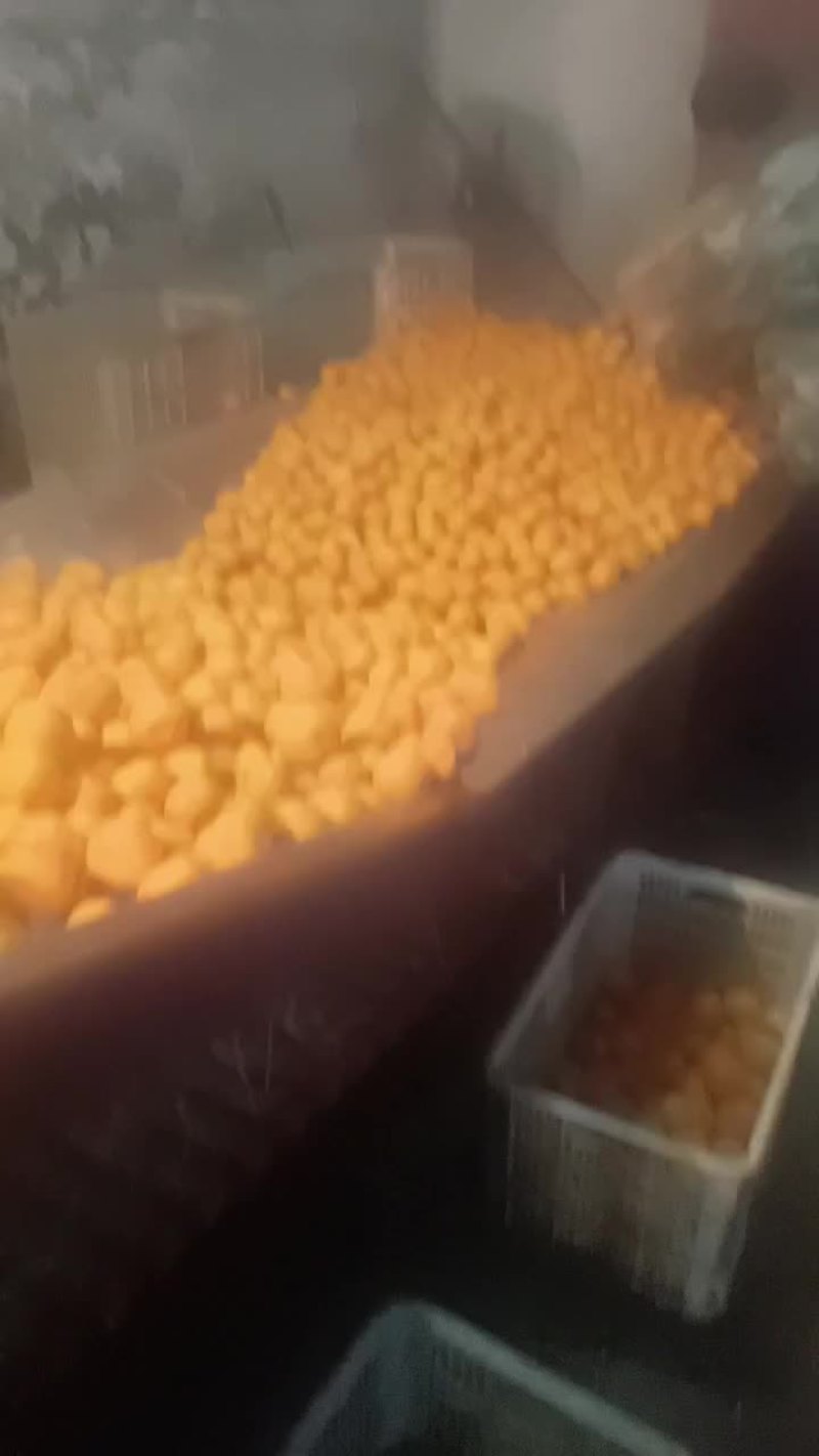 大量广西沙塘橘采摘需要联系