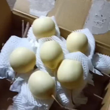 精品水晶梨