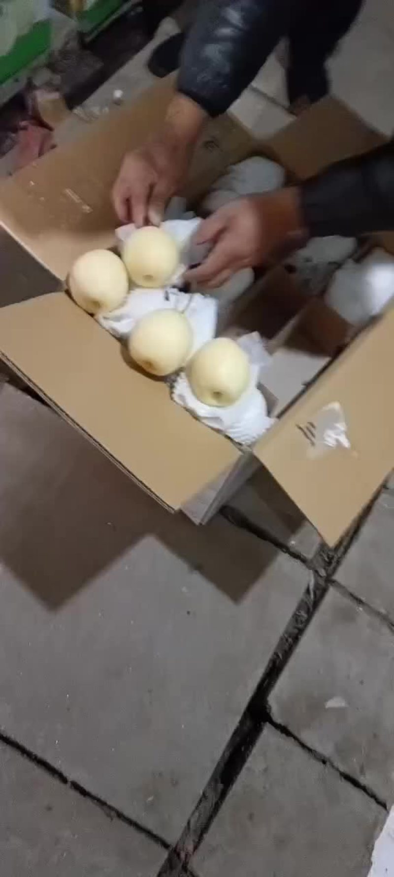 精品水晶梨