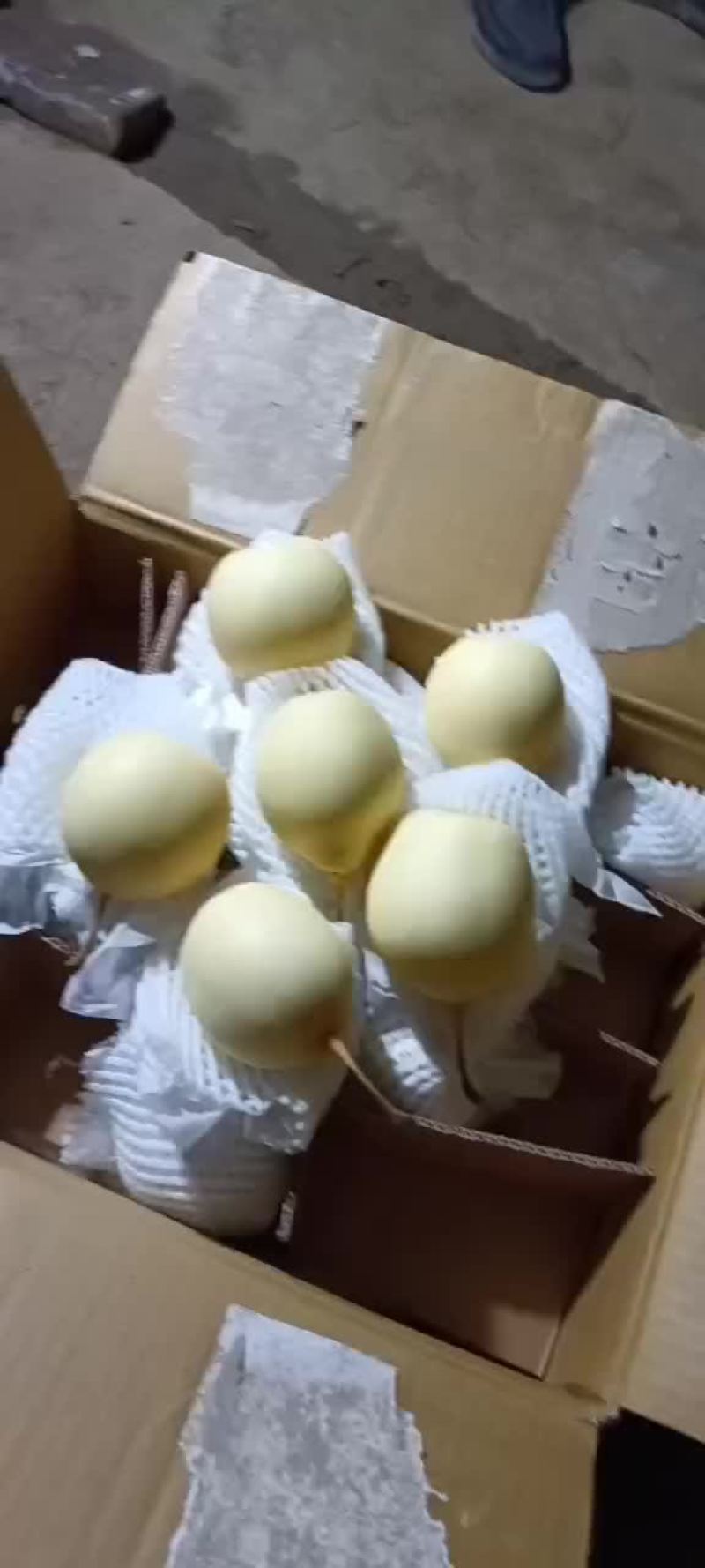 精品水晶梨