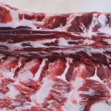 牛脊骨