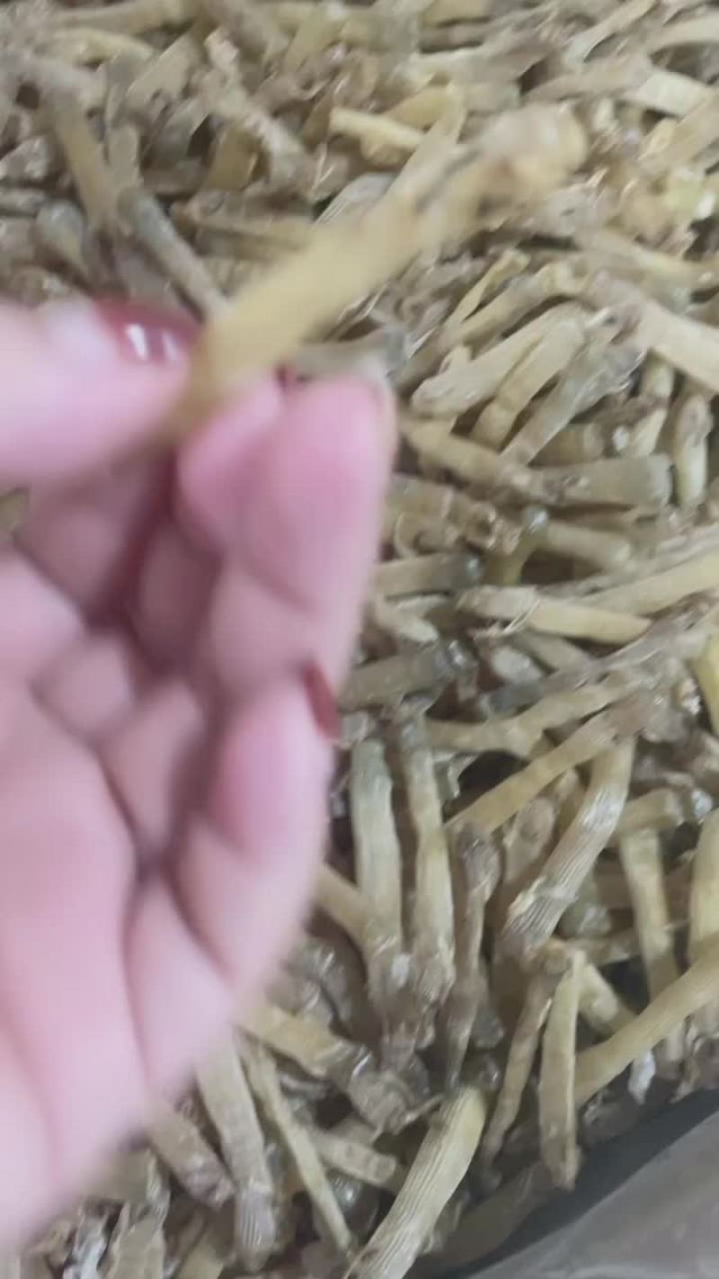 沙虫干